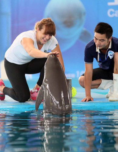 也为后续的 也为后续的