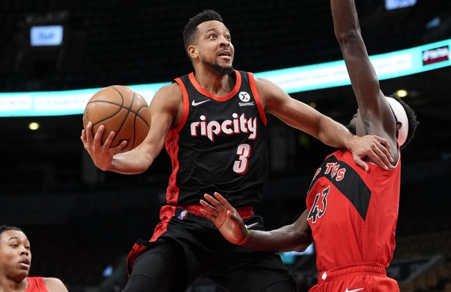 毛球的未来 毛球的未来