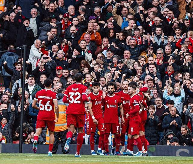 体现了公告 体现了公告